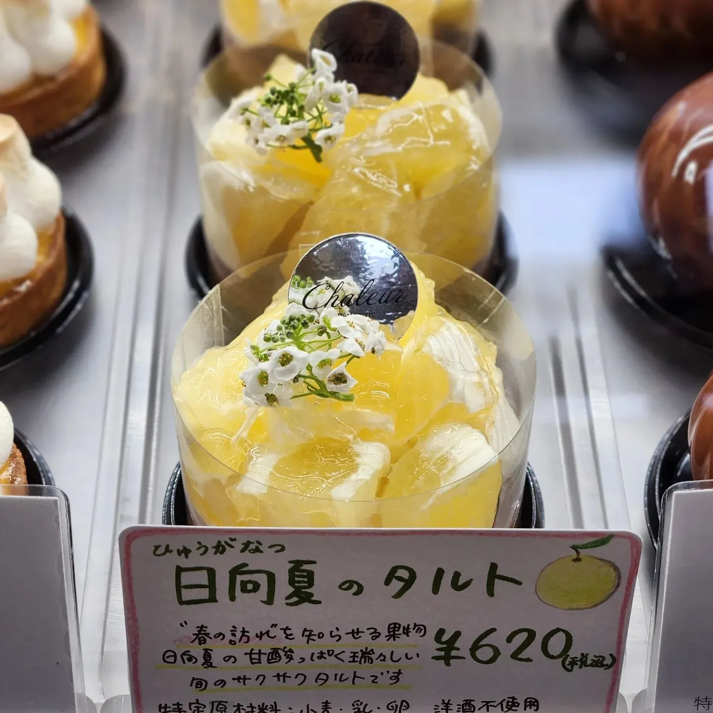 こんちには！　今日はいいお天気ですね🌞