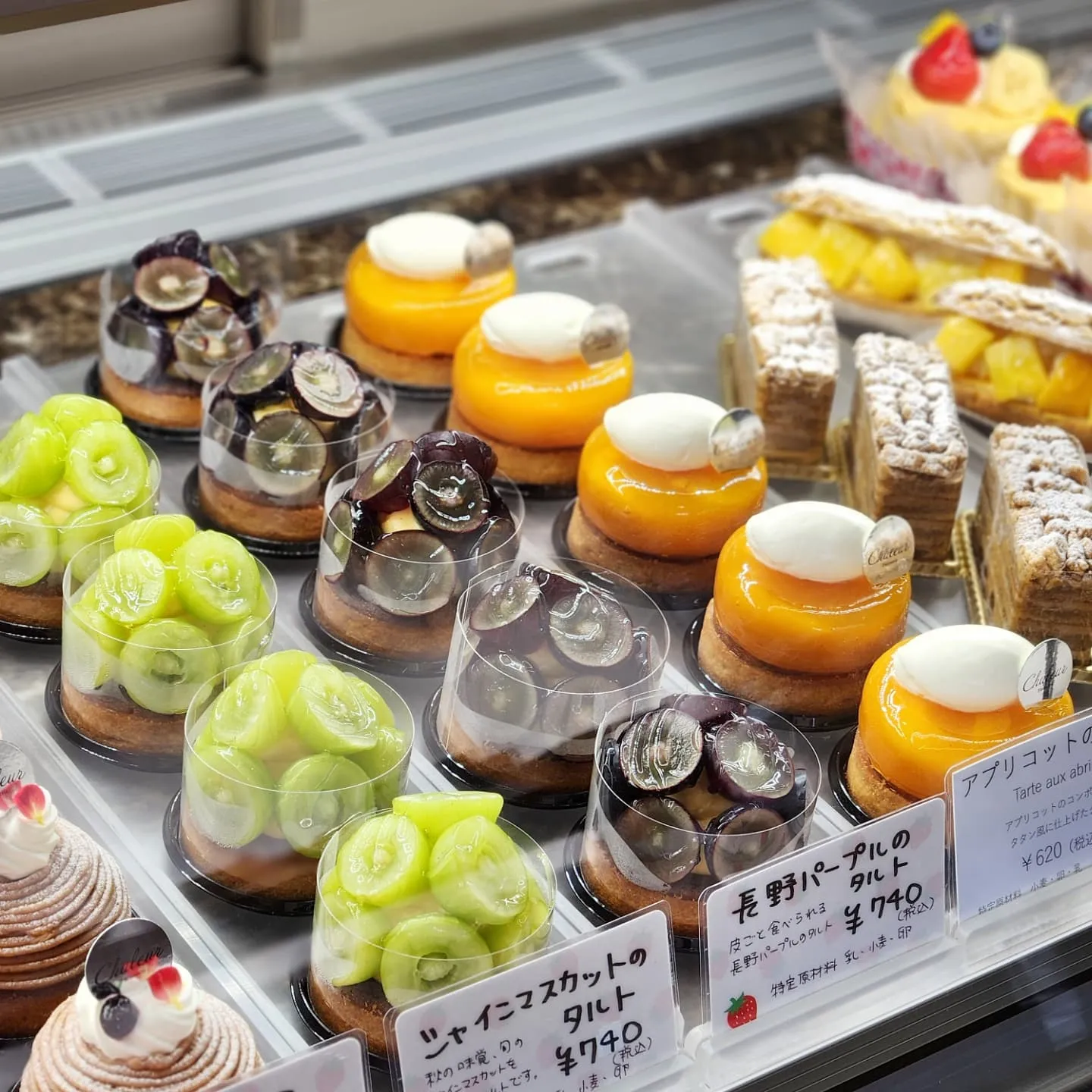 こんばんは🌃🌛　だんだんとショーケースが秋の気配になってきま...